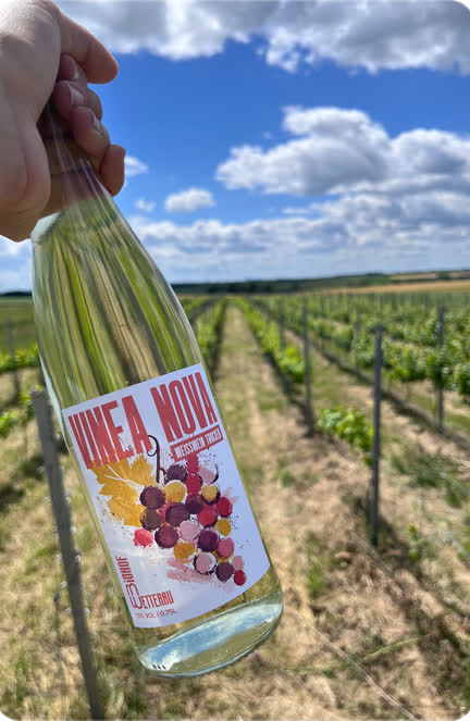 Bio Wein Vinea Nova
