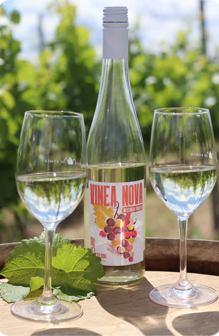 Vinea Nova Weinberg