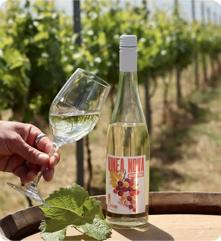 Vinea Nova