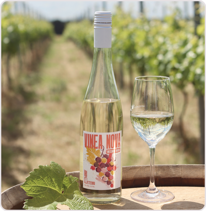 Vinea Nova Wein